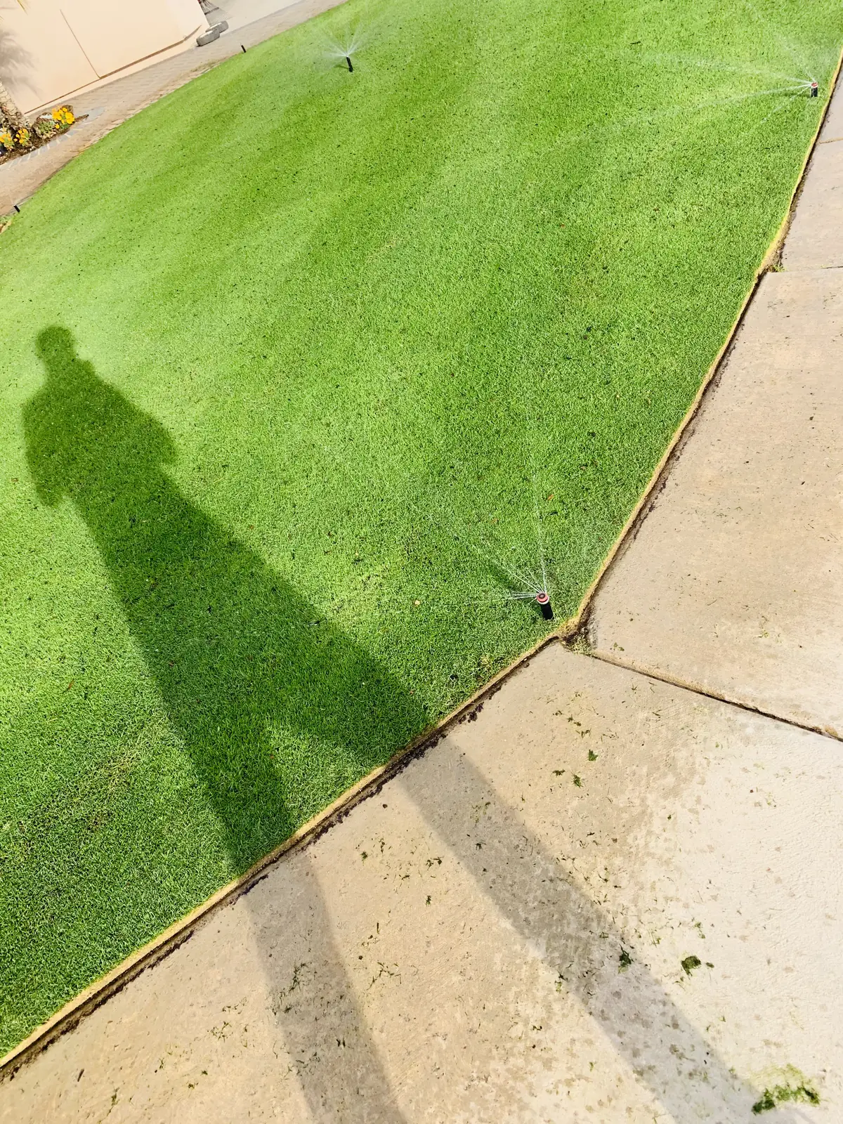 Irrigated lawn sprinkler coverage