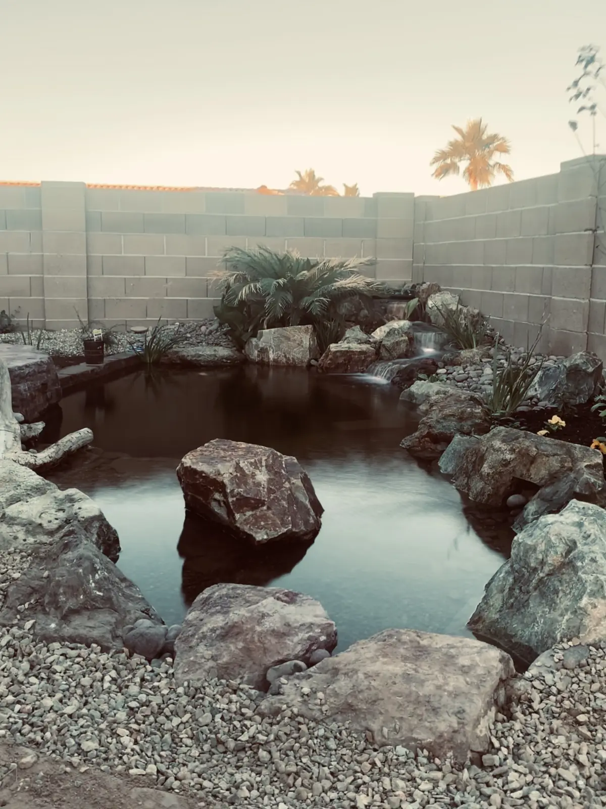 Backyard pond waterfall dusk