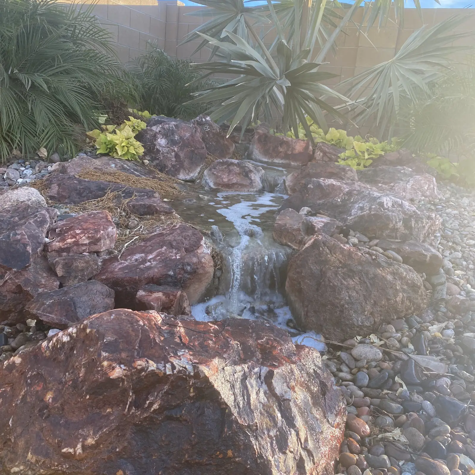 Pondless waterfall lush plants