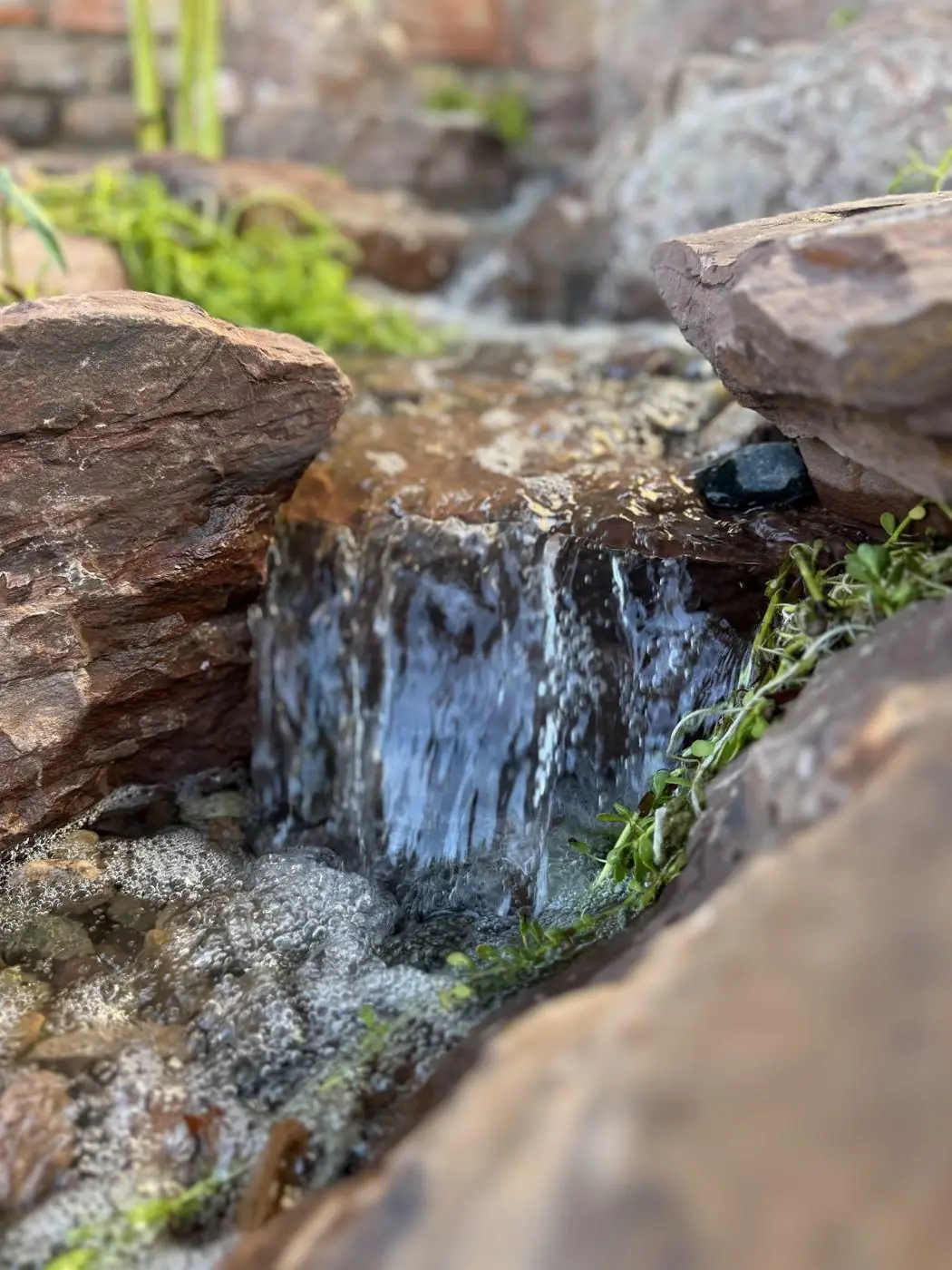 Pondless waterfall with plantings