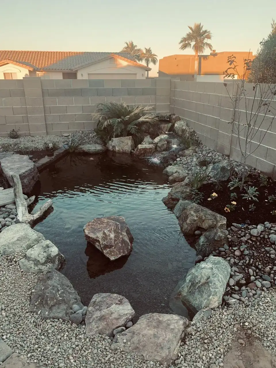 Large 16×21 pond with meandering stream